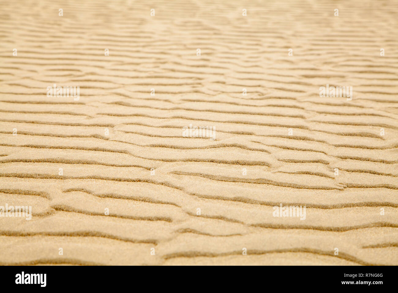 Tan Beach Sand With Ripple Pattern Background. Stock Photo