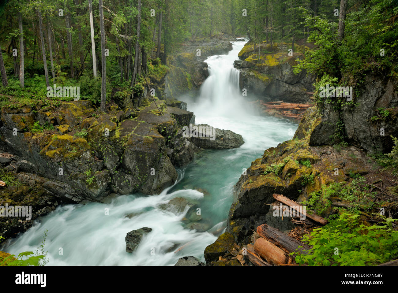 Wa154 00 Washington Silver Falls On The Ohanapecosh River In Mount Rainier National Park Stock Photo Alamy