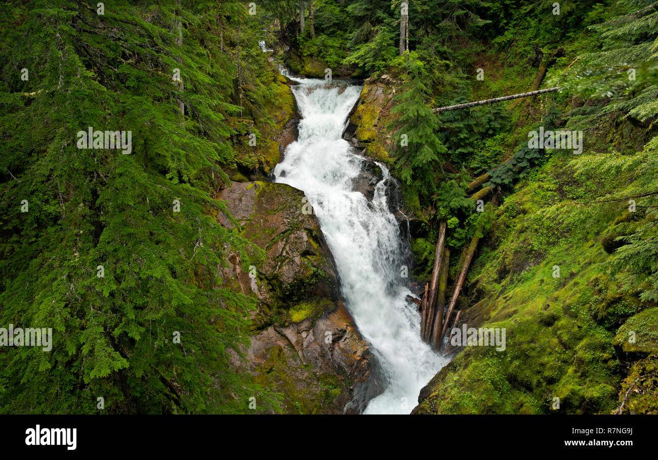 WA15492-00...WASHINGTON - Deer Creek Falls in Mount Rainier National ...