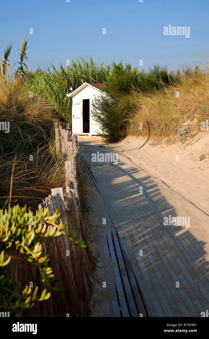Italy, Puglia, Savelletri di Fasano, Path of sand across the dune leading to the private beach of the Coccaro beach Club Stock Photo