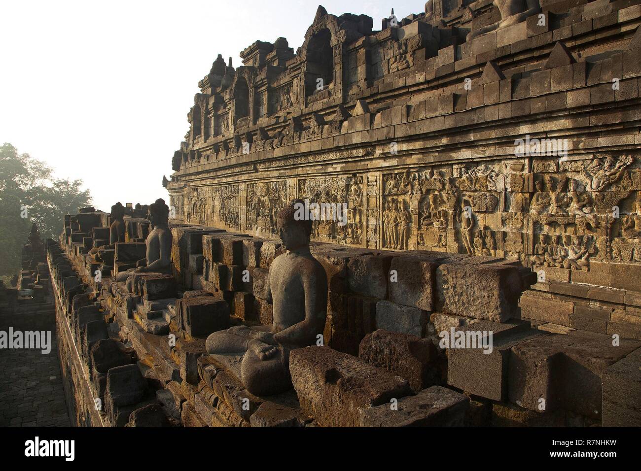 Indonesia, Java, Borobudur, Stone carved Buddha statues and reliefs on
