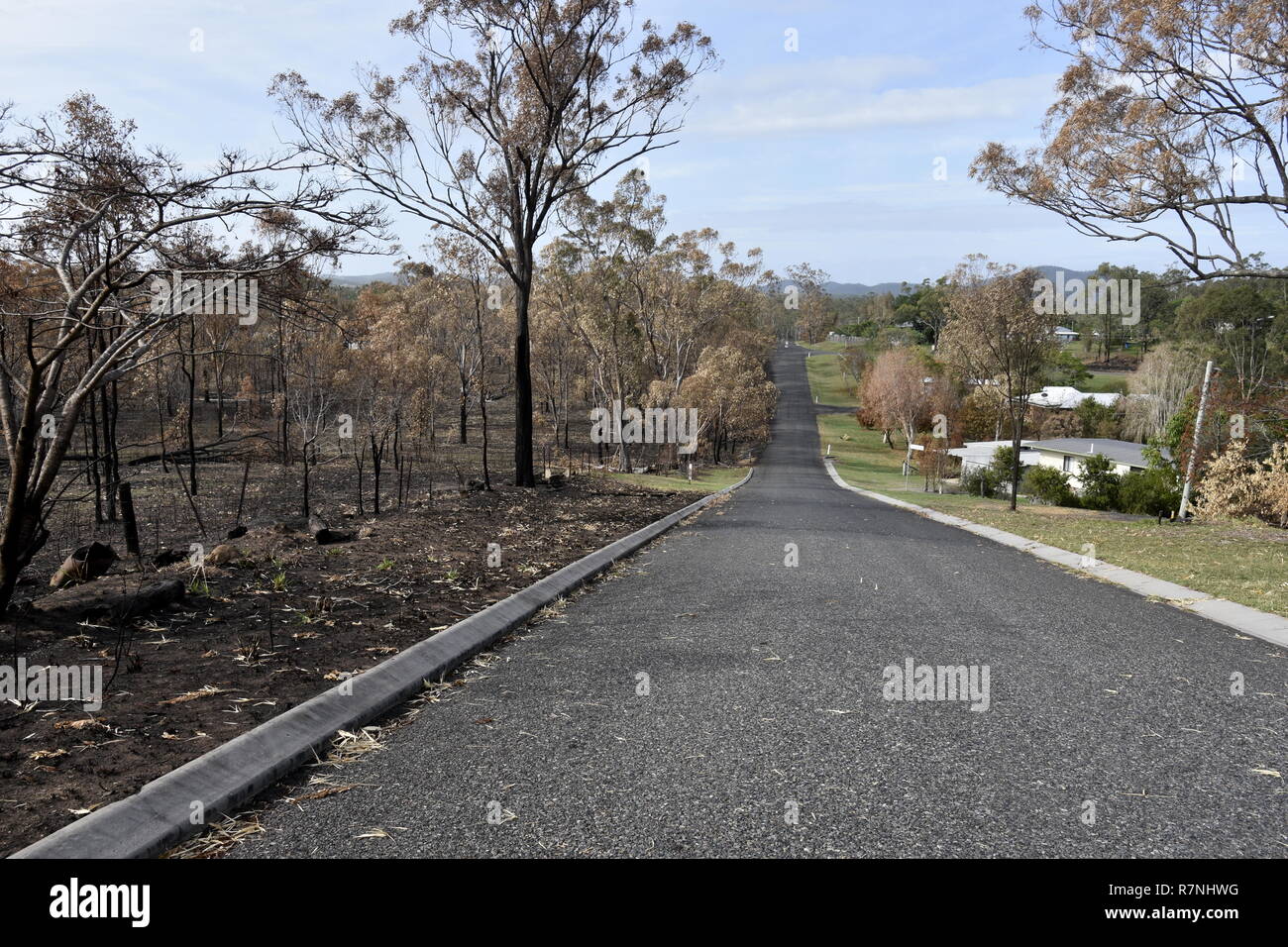 CENTRAL QUEENSLAND AFTER THE FIRES Stock Photo