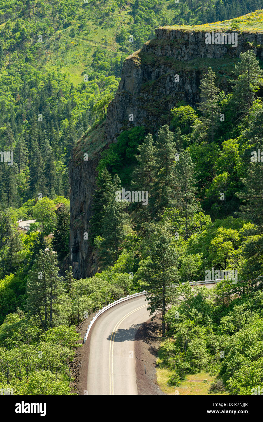 The road to Rowena Crest Viewpoint in the Columbia River Valley, Oregon, USA Stock Photo