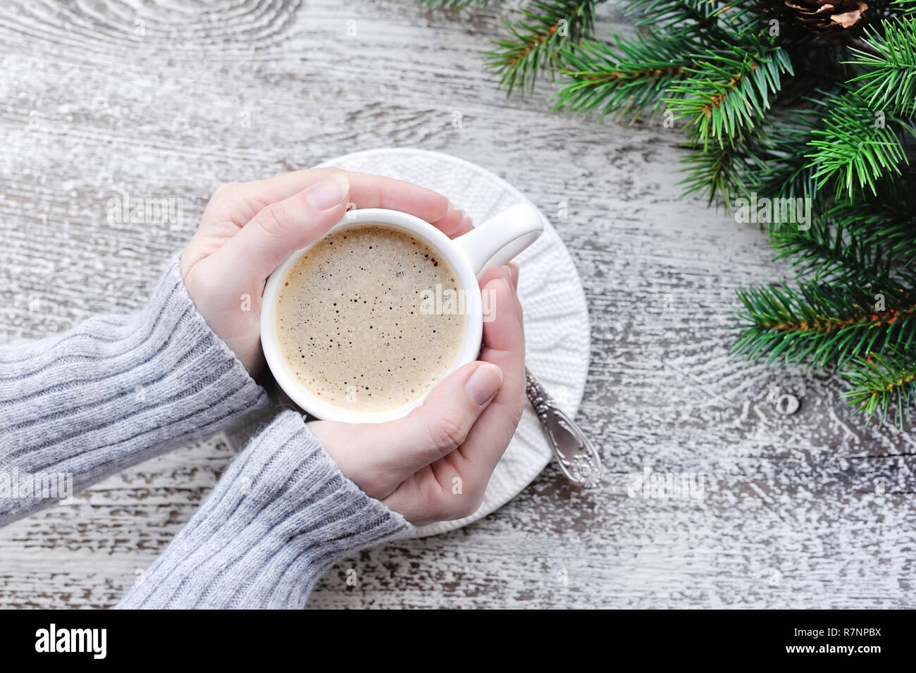 Female hands holding cups of coffee and fir branches on wooden table ...