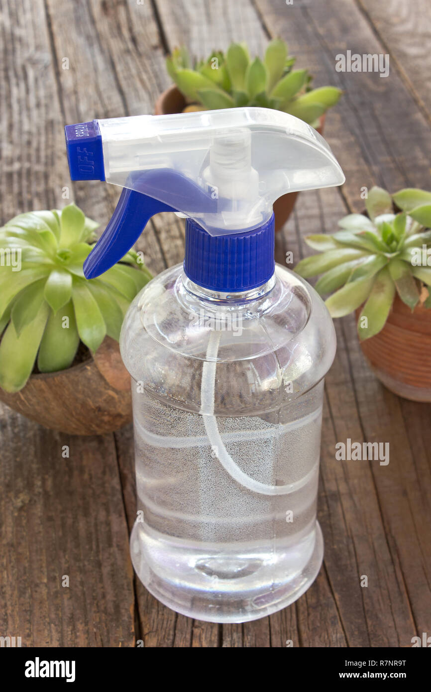 Blue plastic spray bottle with poted plants on wooden background Stock Photo