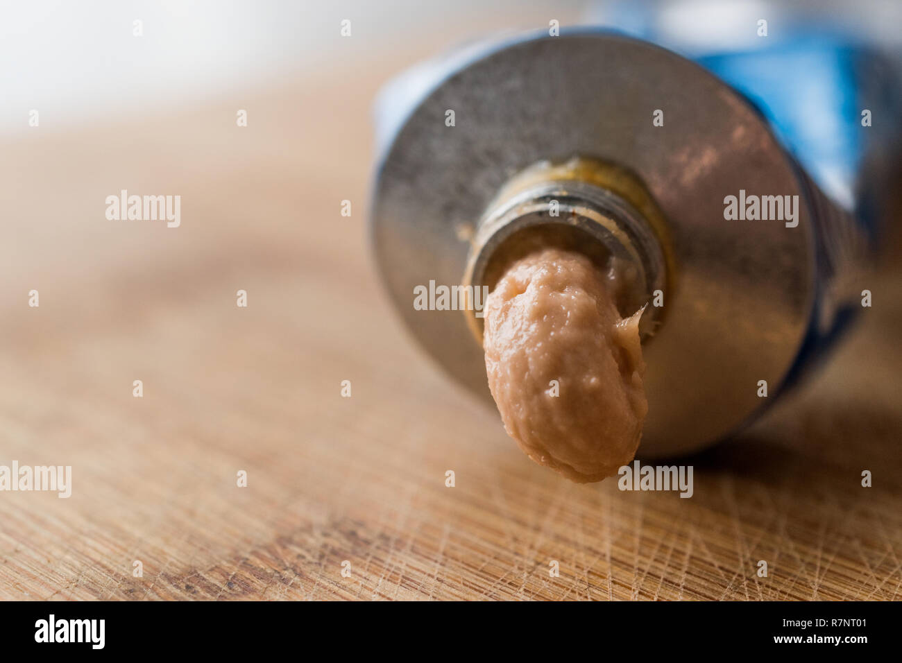 Tube of Creamed Tuna Paste Cream / Fish Pate. Seafood Stock Photo Alamy