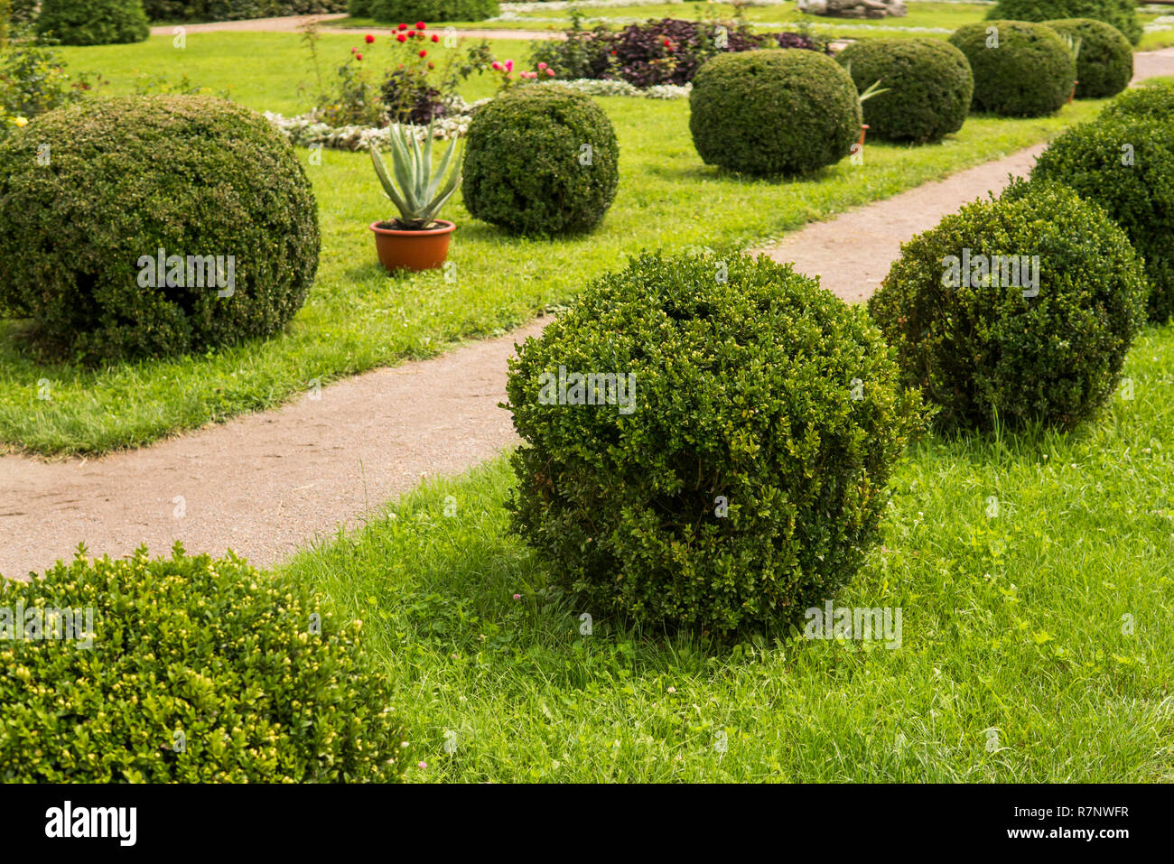 Park with shrubs and green lawns, landscape design Stock Photo - Alamy