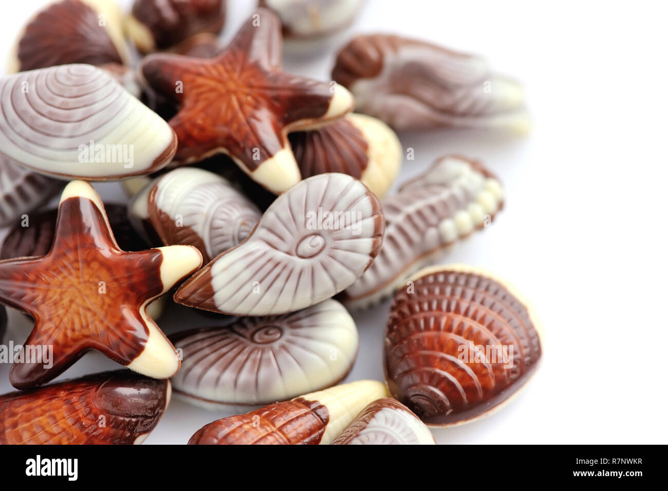 Swiss chocolate seashells on white background Stock Photo