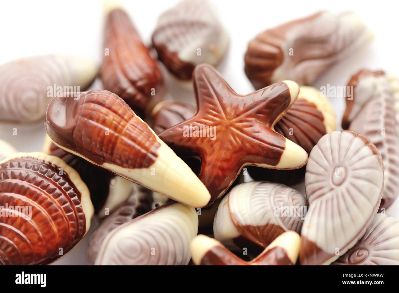 Chocolate seashells Banque de photographies et d'images à haute