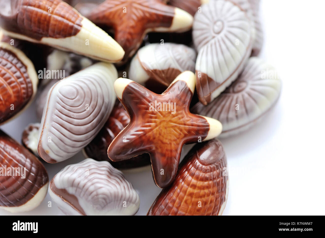 Swiss chocolate seashells on white background Stock Photo