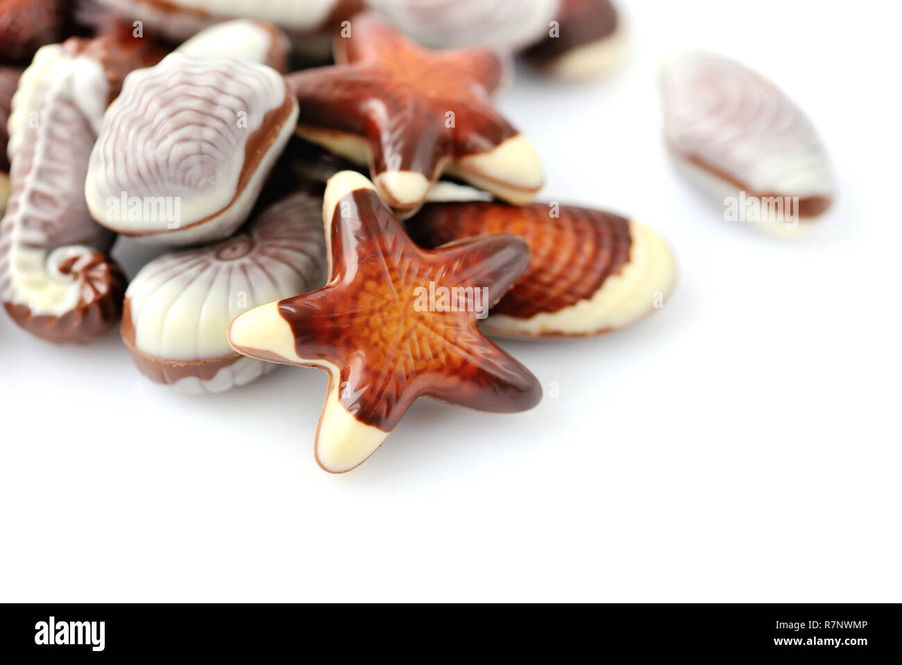 Swiss chocolate seashells on white background Stock Photo