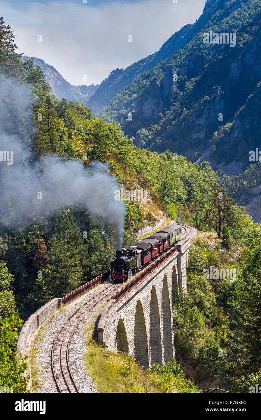 France, Alpes de Haute Provence, the scaffarels to Annot, the Train des  Pignes crosses the viaduct of the Donne above the Coulon Stock Photo - Alamy