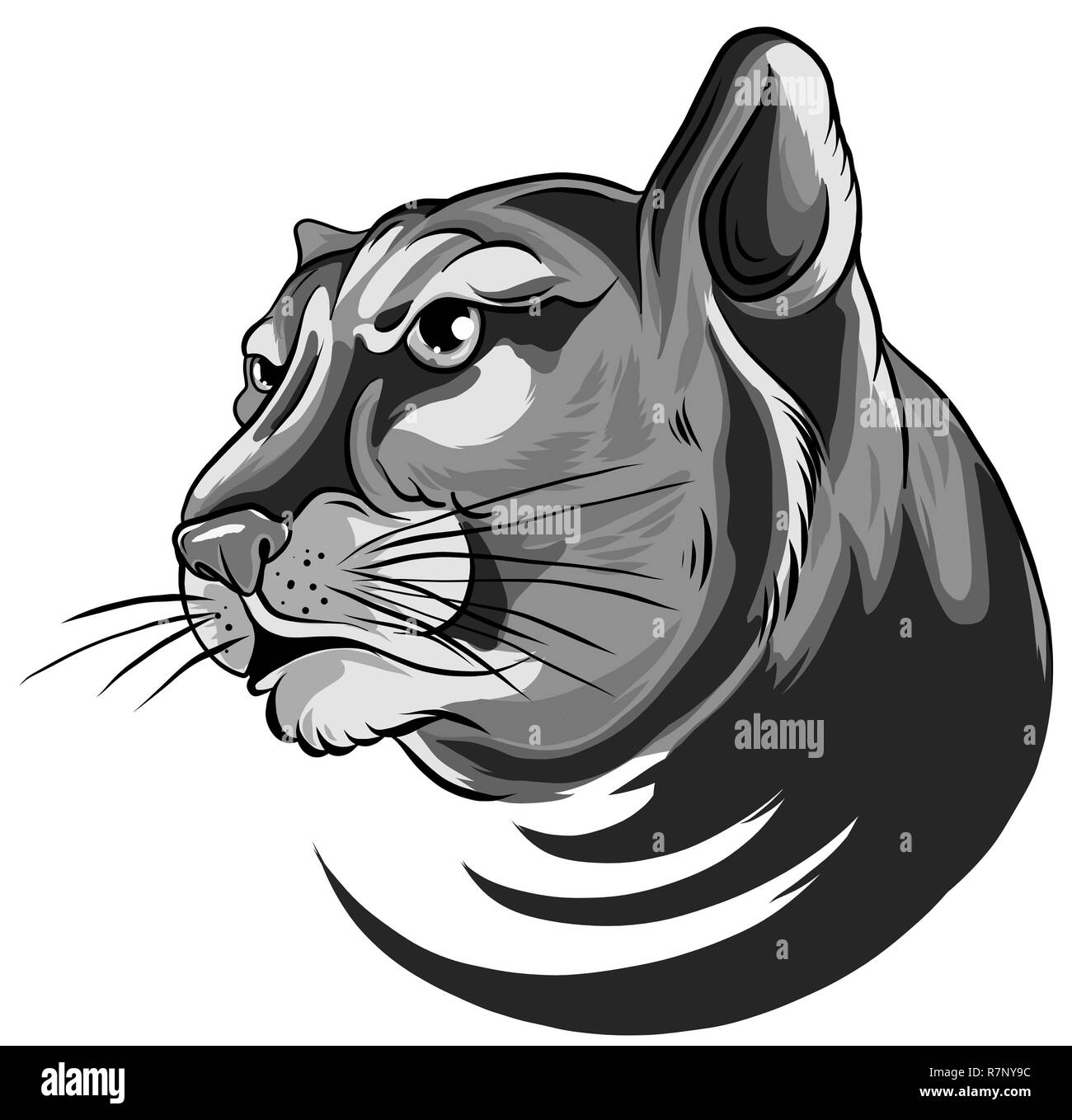 illustration of Cougar Panther Mascot Head Vector Graphic Stock Vector