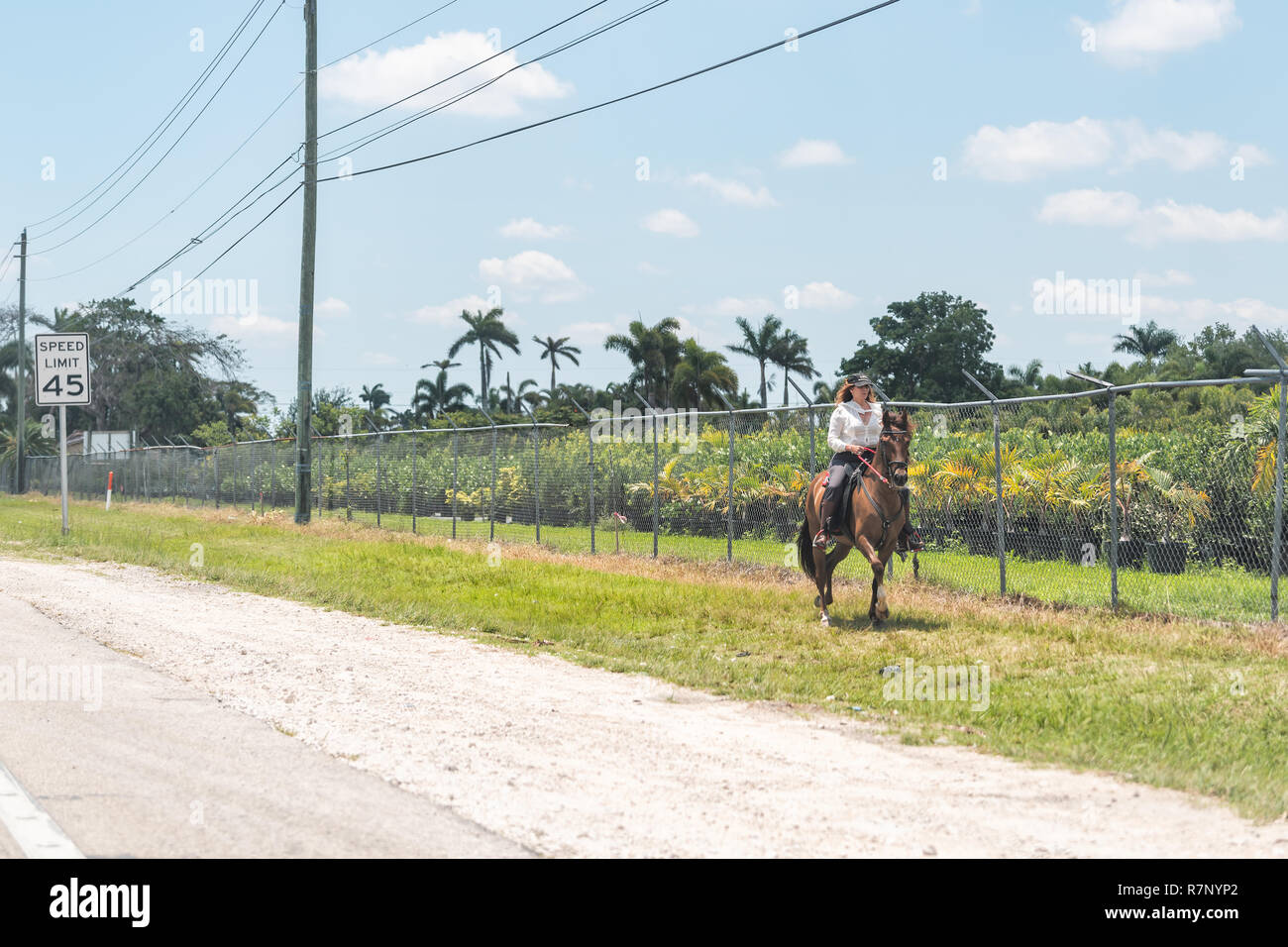 Homestead, USA April 30, 2018 Woman riding horse on green grass by