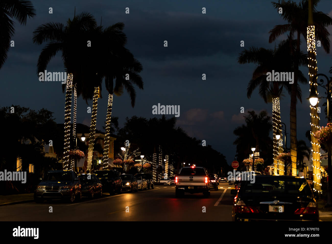Christmas tree with palm trees on the beach hires stock photography