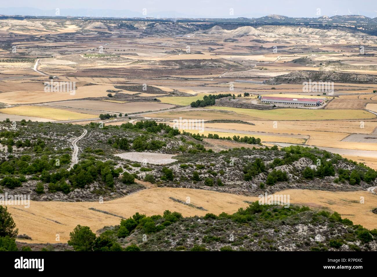 Spain Aragon Province Of Zaragosa Wheat Fileds Around Lecinena Stock Photo Alamy