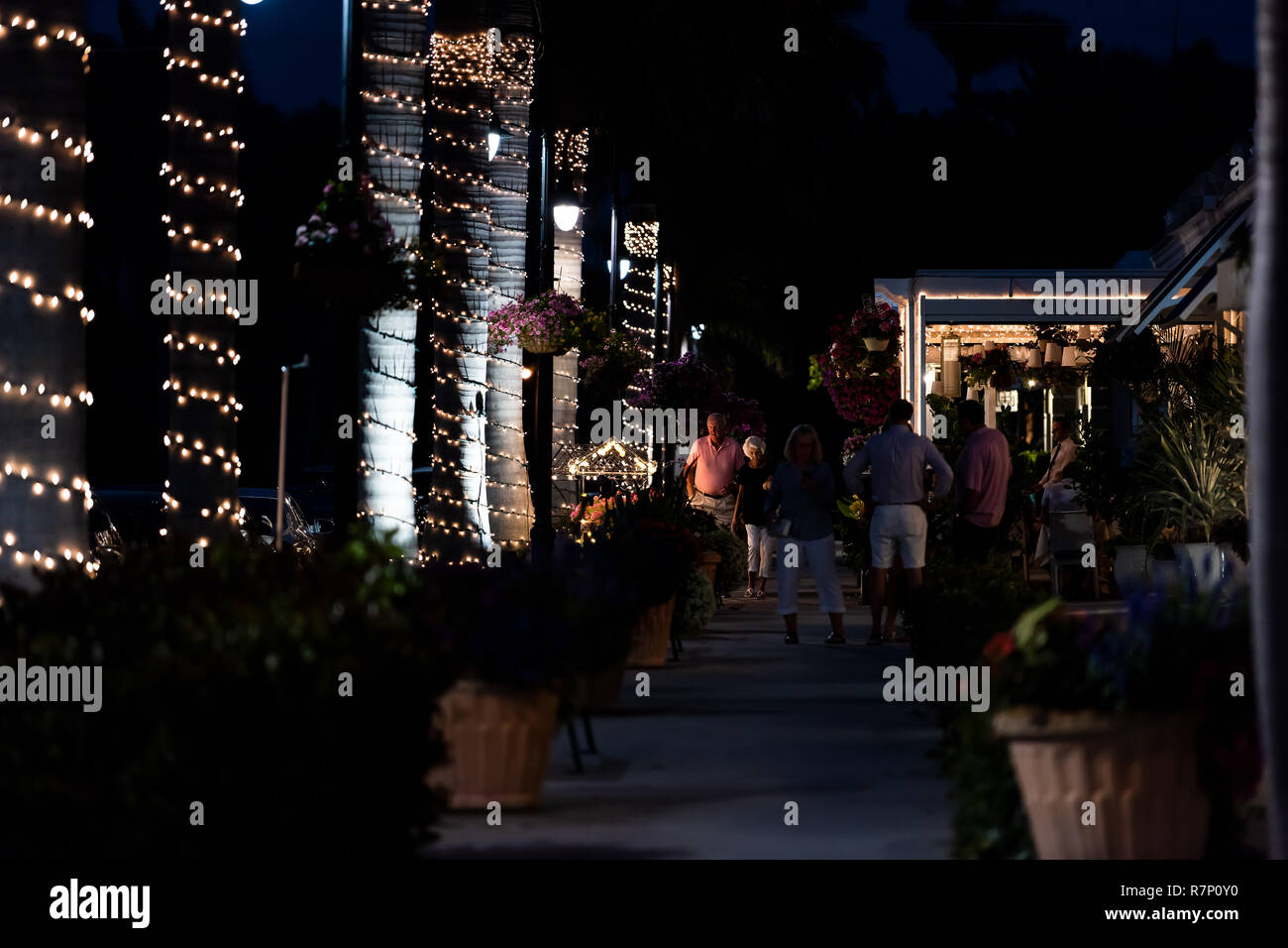 Naples, USA - April 29, 2018: Illuminated holiday Christmas lights on palm trees on avenue in Florida downtown beach city town during night evening, p Stock Photo