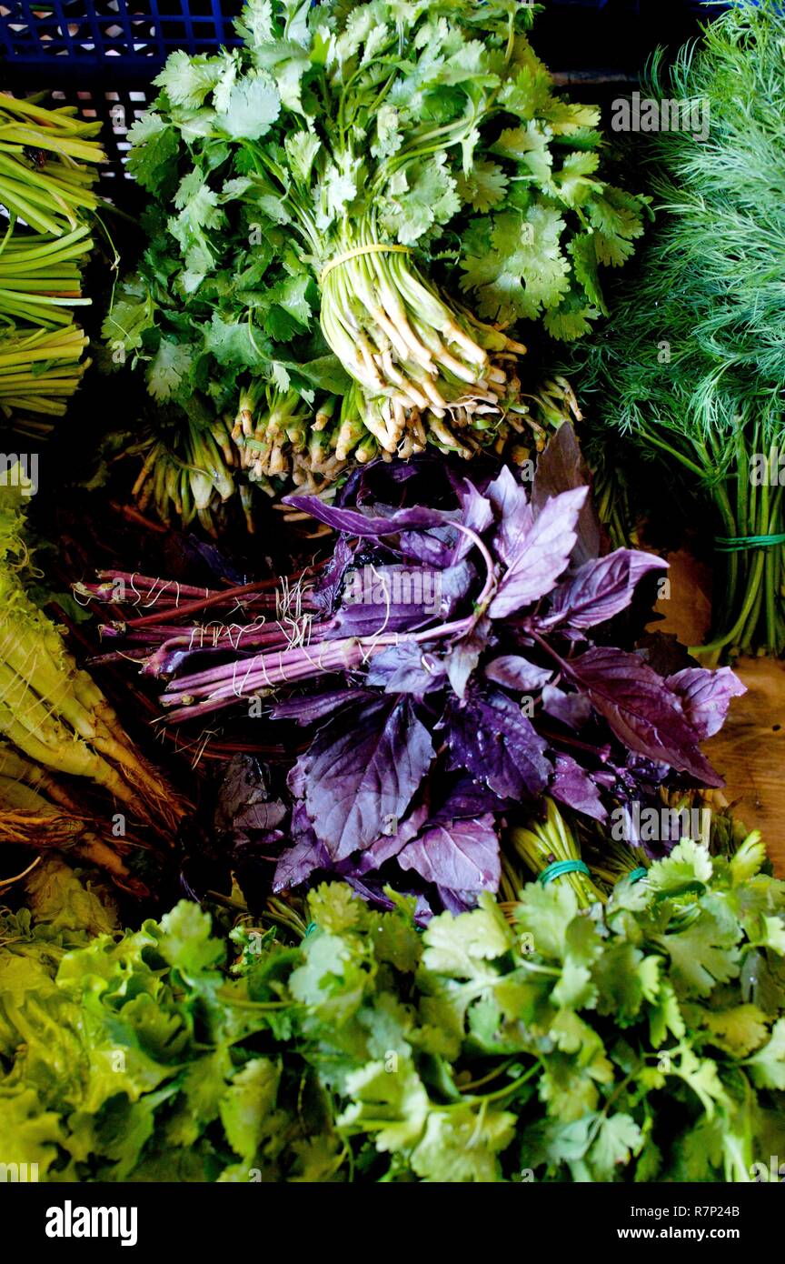 Russia, Moscow, sale of fresh herbs Stock Photo