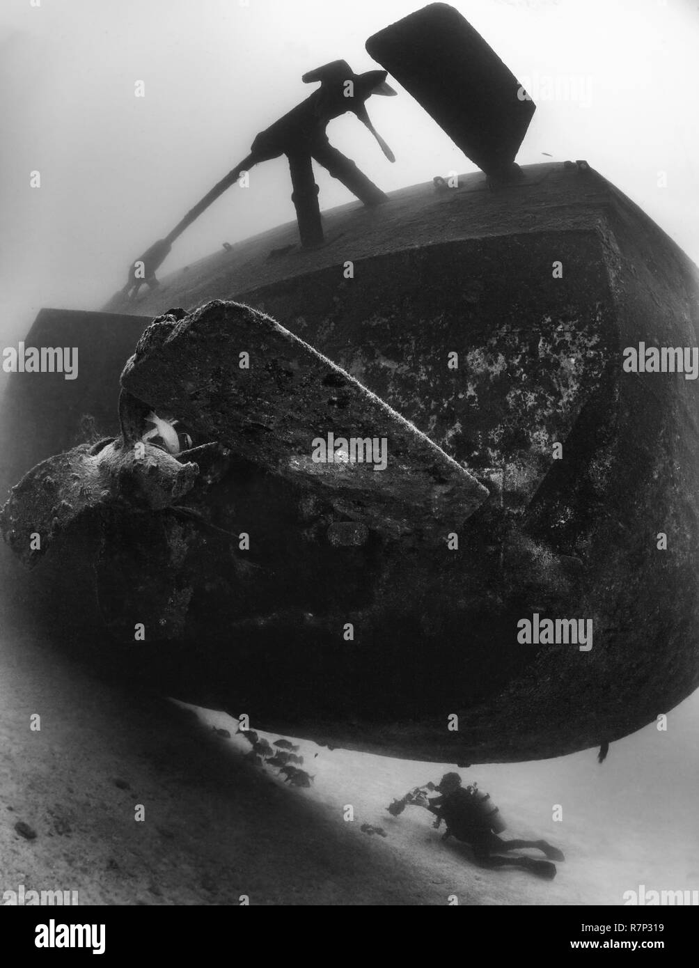 C59 ship wreck of La Paz, Baja California Sur, Mexico Stock Photo