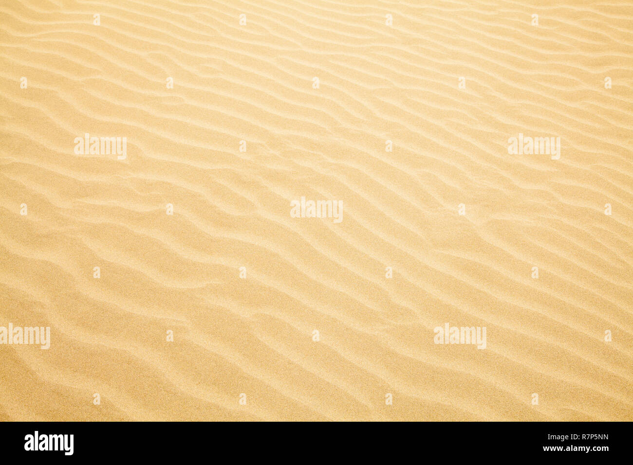 Tan Ripple Wave Sand Dune Beach Background. Stock Photo