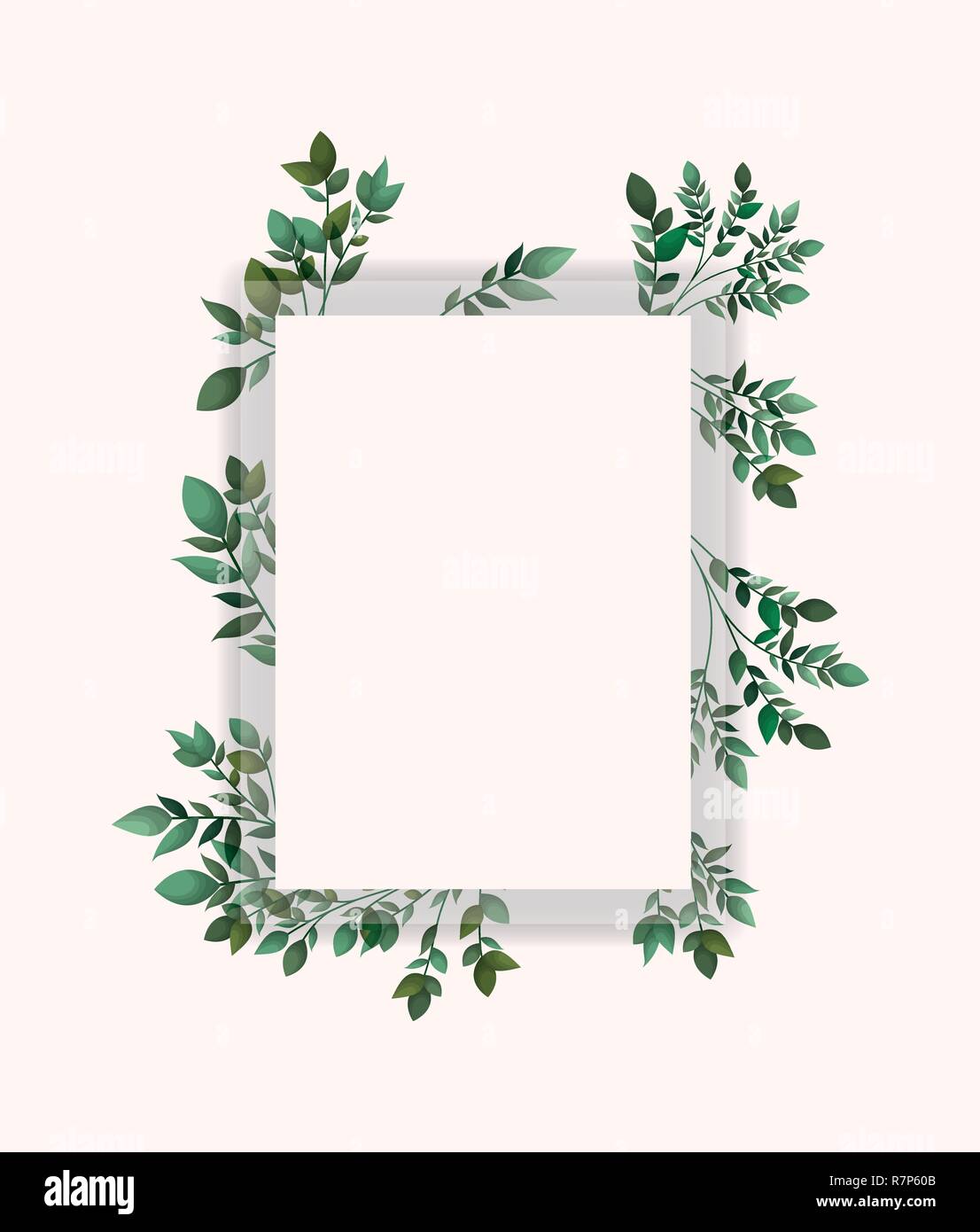 square frame with laurel leafs Stock Vector Image & Art - Alamy