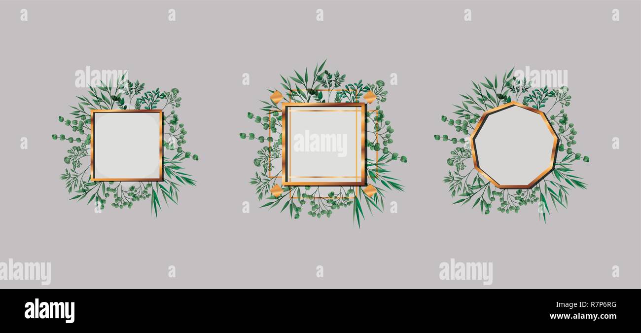 set of geometrics golden frames and leafs Stock Vector Image & Art - Alamy