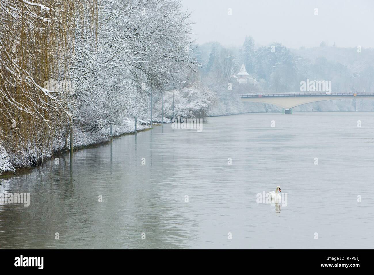 France, Seine et Marne, Bois le Roi, the riverbank of the Seine river under the snow along Quai Olivier Metra during the flooding, the bridge between Chartrettes and Bois le Roi and 1900's style mansion named Affolante du Bord de Seine on Quai de la Ruelle in the background Stock Photo