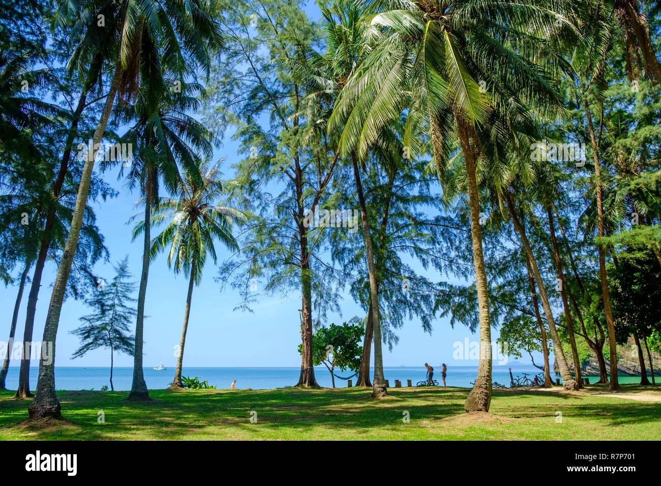 Thailand, Satun province, Tarutao National Marine Park, Ko Tarutao island, Ao Molae bay Stock Photo