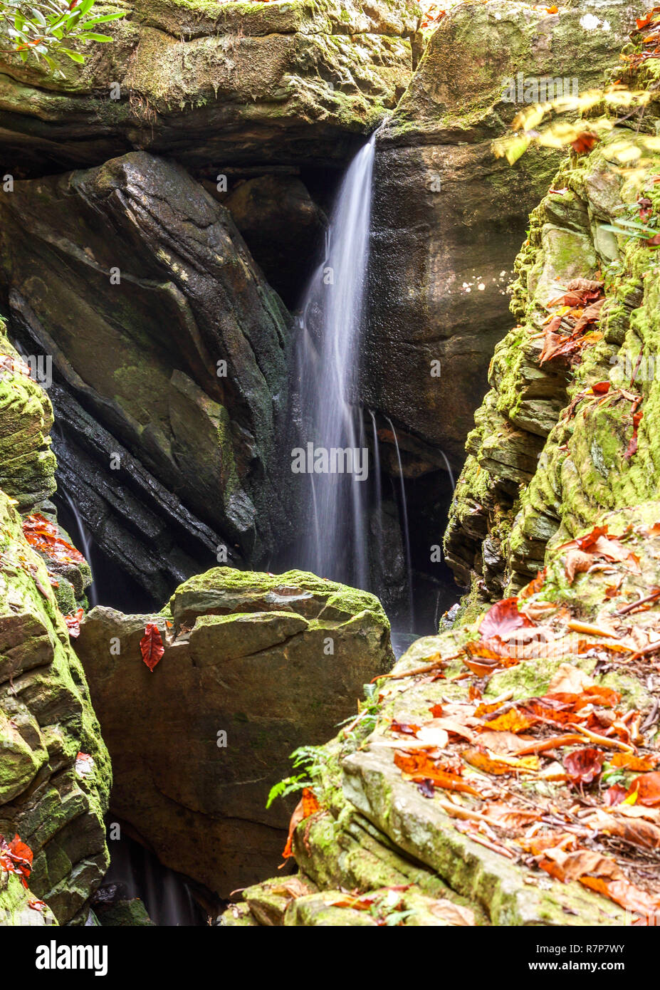 Duggers Creek Falls waterfall in a narrow rocky in the North