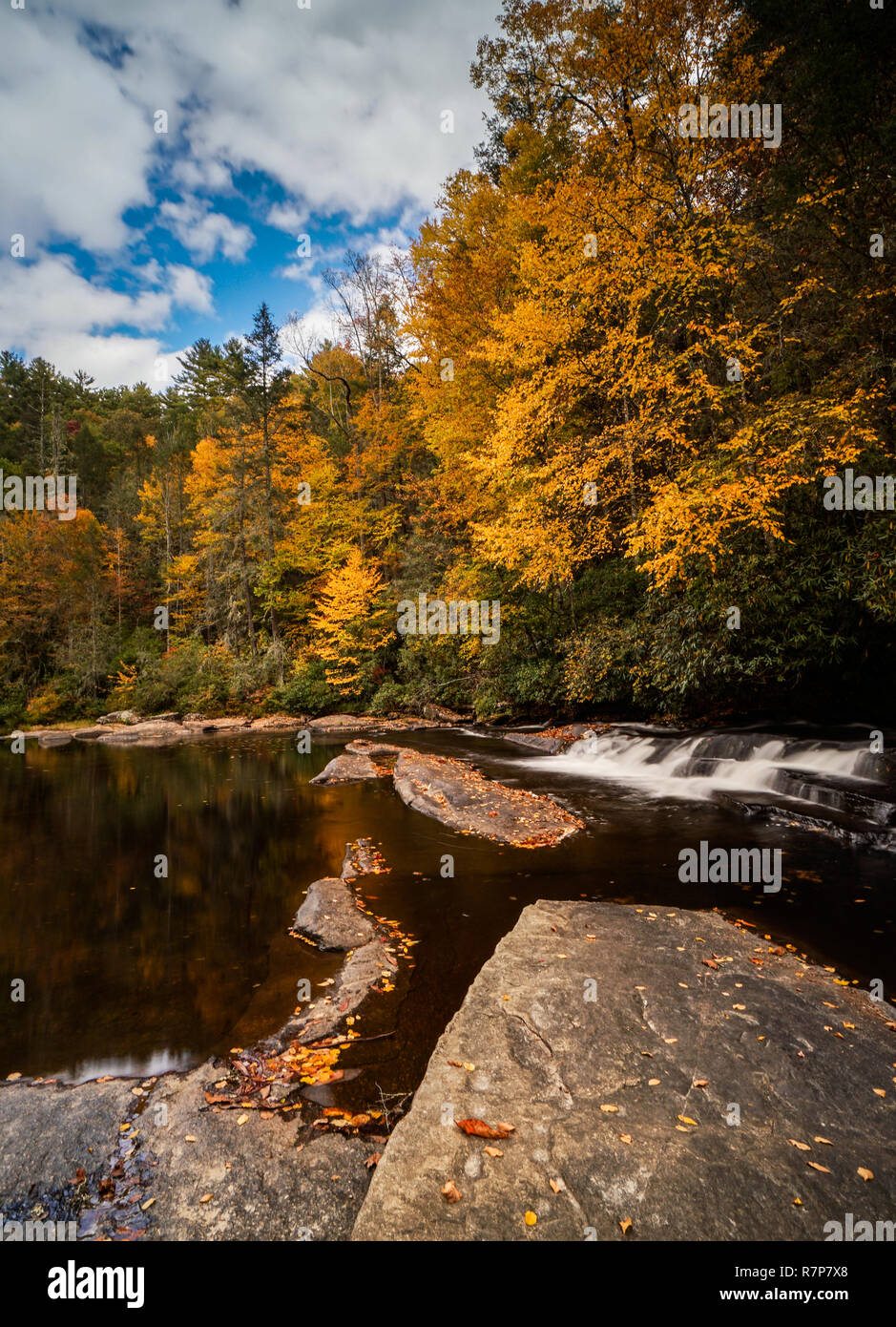 colorful fall foliage forest and river landscape with a small waterfall in the Appalachians of North Carolina near Triple Falls in DuPont State Forest Stock Photo