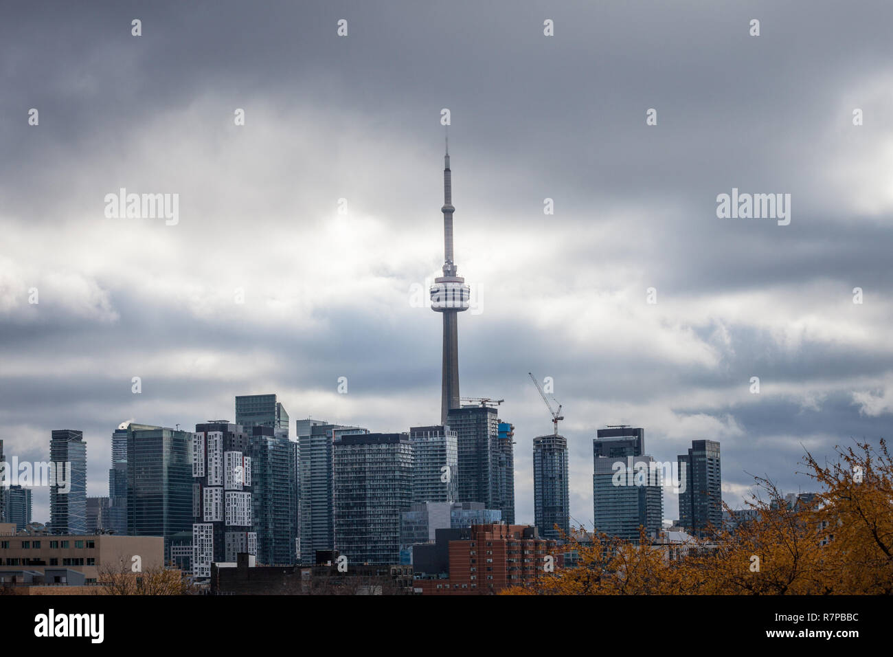 Tonroto hi-res stock photography and images - Alamy