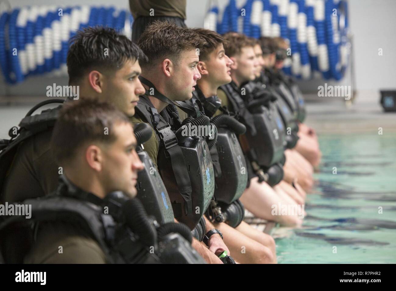 Marines await the command to enter the pool during a battalion training event at Camp Lejeune, N.C., March 23, 2017. The Marines conducted training with the MK-25 underwater breathing apparatus to maintain proficiency and confidence in their combat diving skills. The Marines are with 2nd Reconnaissance Battalion, 2nd Marine Division. Stock Photo
