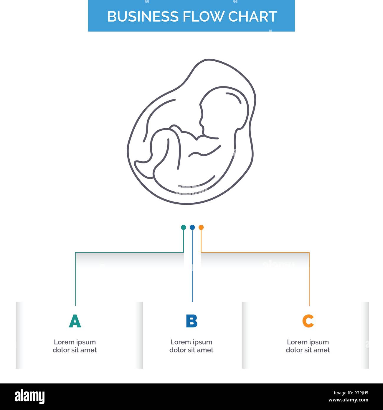 Fetus Chart