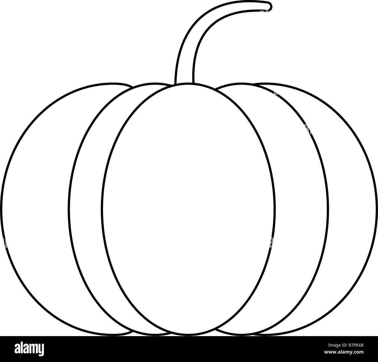 Pumpkin Fresh Vegetable In Black And White Stock Vector Image & Art - Alamy