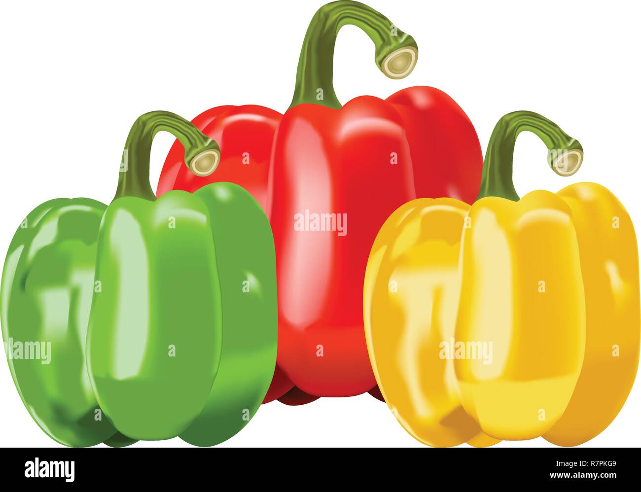 Vector Set of Colored Yellow Green and Red Bell Peppers Stock Vector