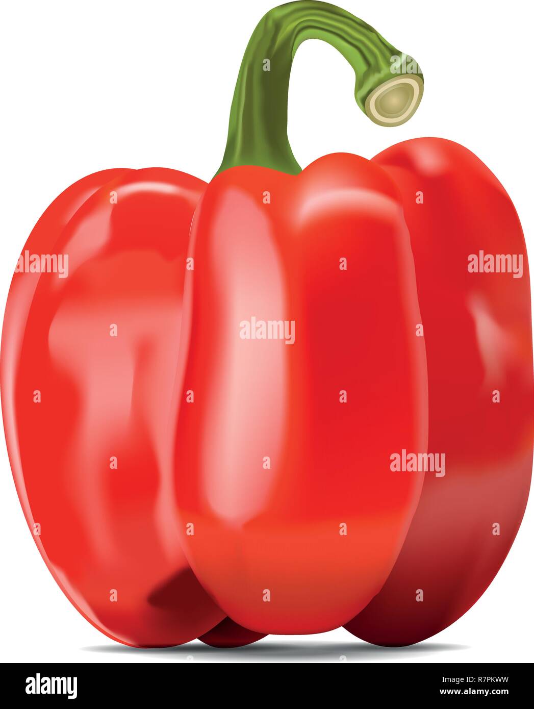 Vector Red Bell Peppers Stock Vector
