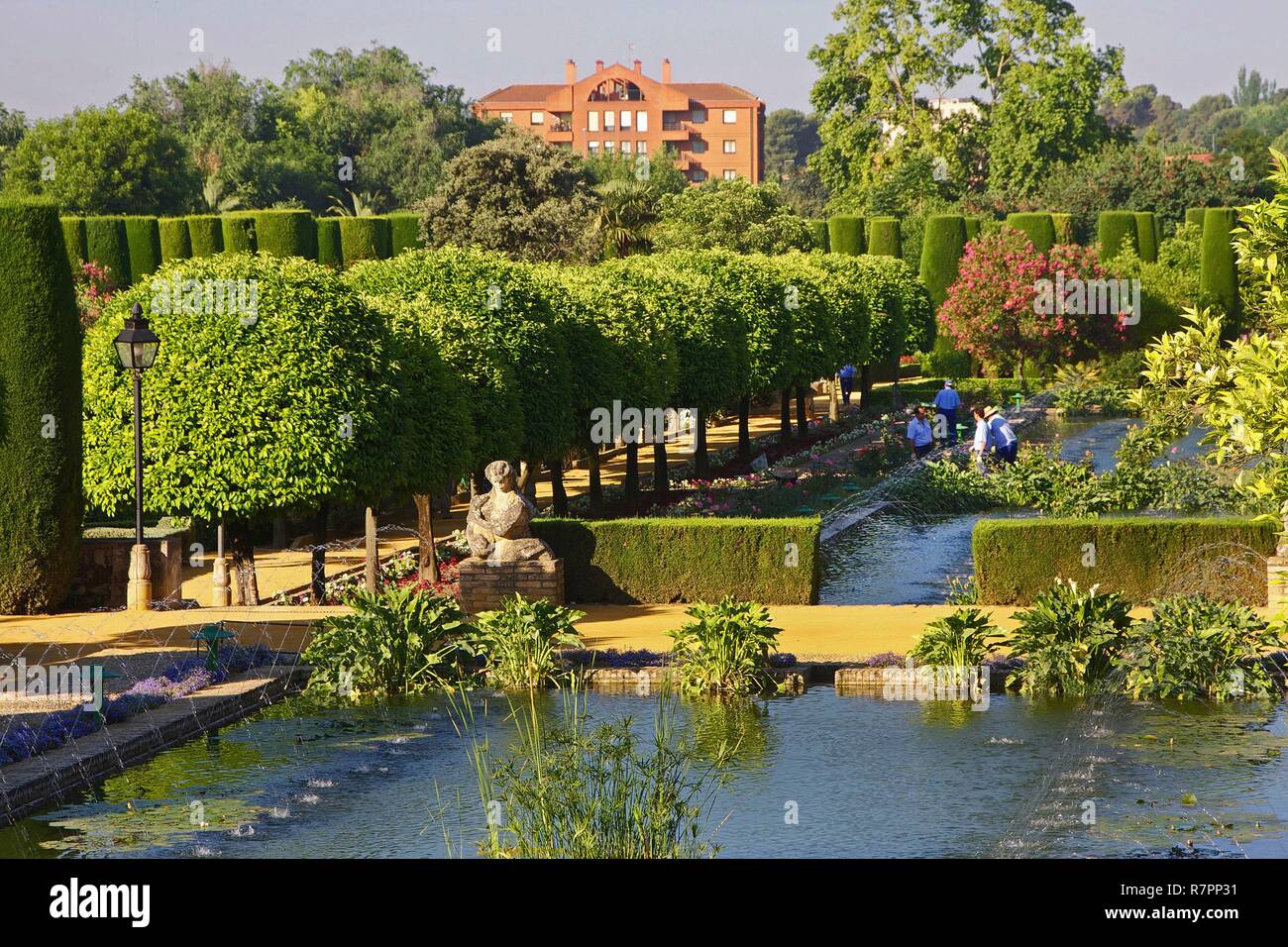 Spain, Andalusia, Cordoba, Gardens of the Alcazar of the Catholic monarchs Stock Photo