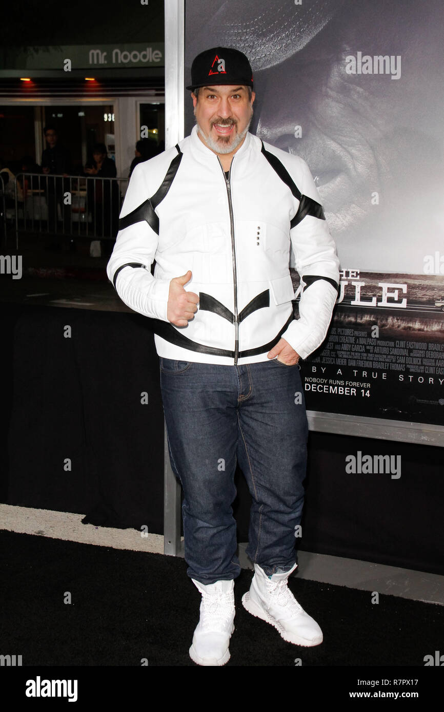 Westwood, California, USA. 10th Dec 2018. Joey Fatone at the World Premiere of Warner Bros' 'The Mule' held at the Regency Village Theatre in Westwood, CA, December 10, 2018. Photo by Joseph Martinez / PictureLux Credit: PictureLux / The Hollywood Archive/Alamy Live News Stock Photo