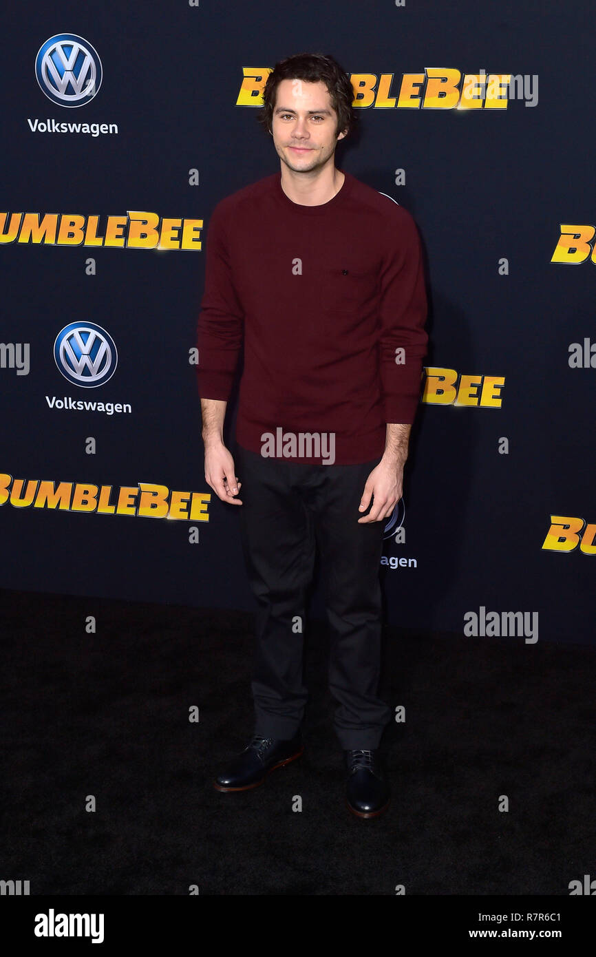 Dylan O'Brien at the world premiere of the movie 'Bumblebee' at the TCL