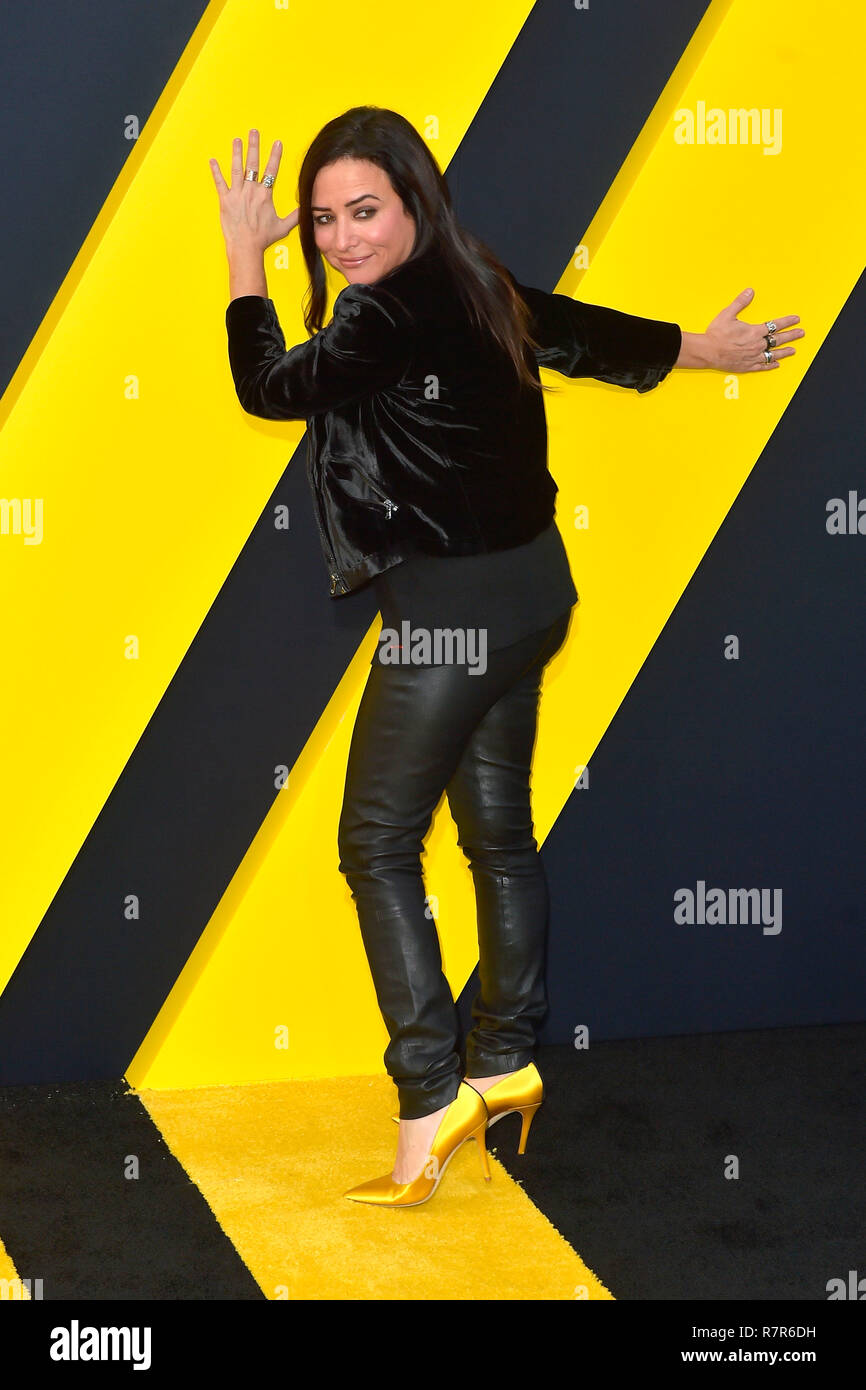 Pamela Adlon at the world premiere of the movie 'Bumblebee' at the TCL Chinese Theater. Los Angeles, 09.12.2018 | usage worldwide Stock Photo