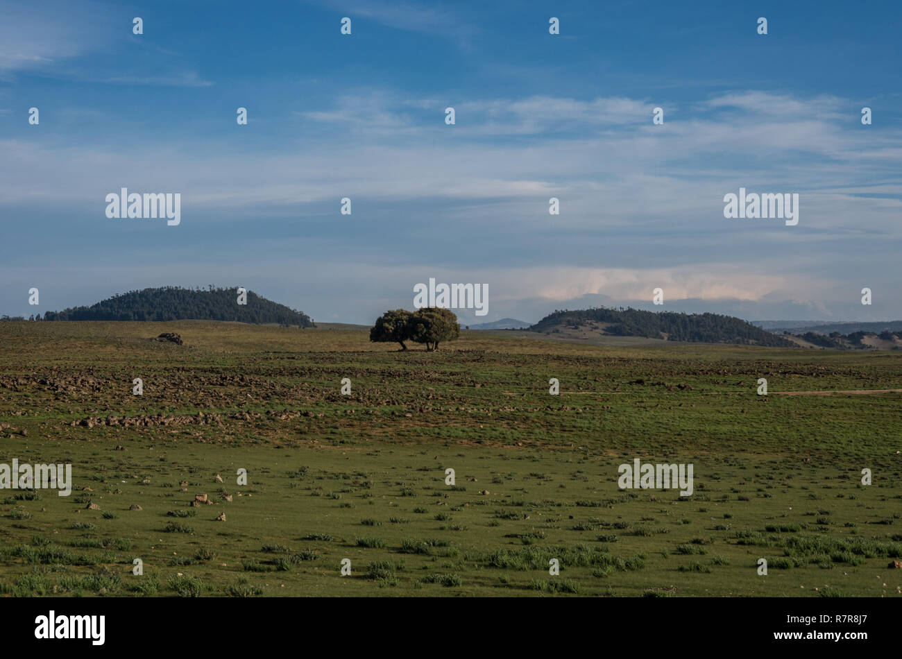 Landscape with highland meadows and hills in the Middle Atlas, Azrou ...
