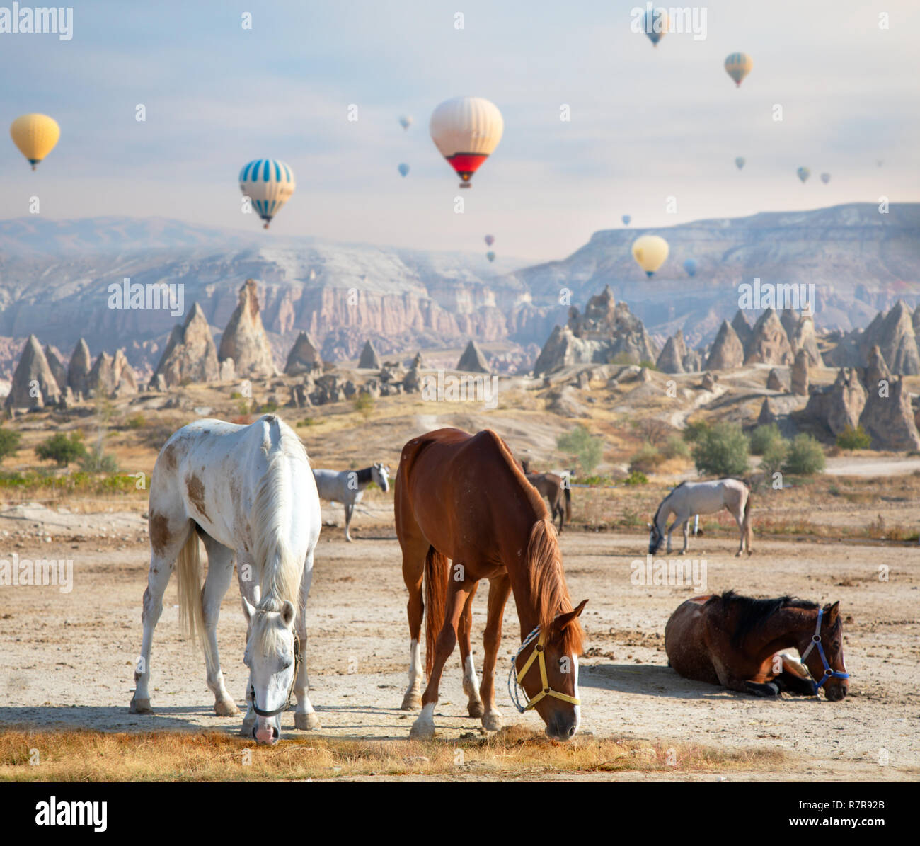 Hot air ballooning horses in Cappadocia, Turkey Stock Photo