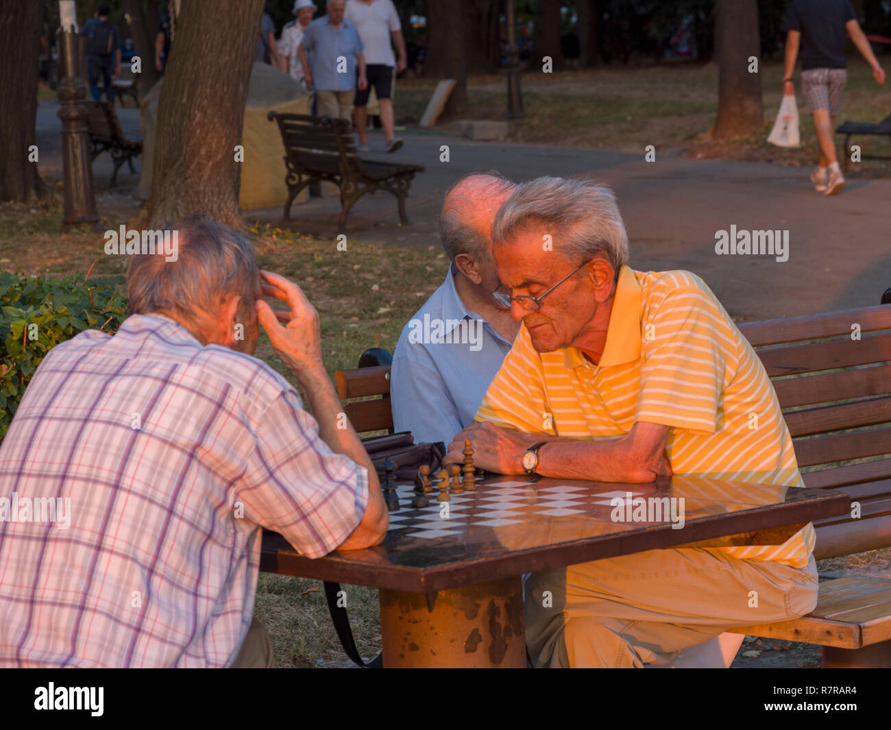 Chess player in the park of the fortress, Belgrade, Serbia, Europe
