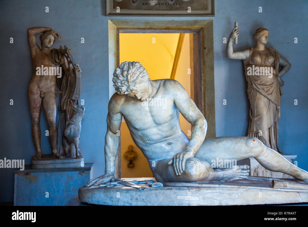 The 'Dying Gaul' on display in Palazzo Nuovo in Rome. Stock Photo