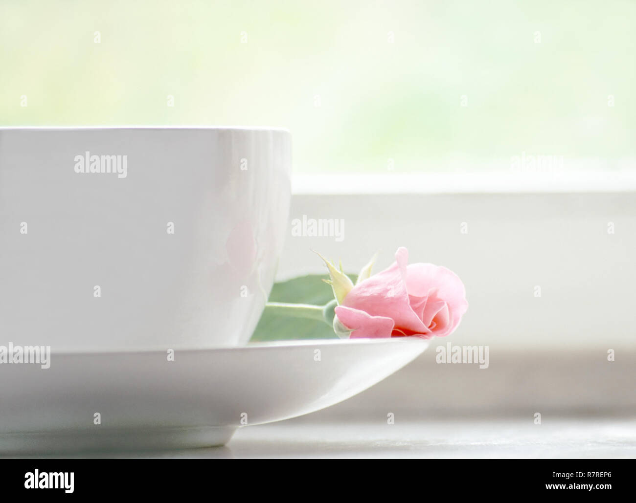 Cup of coffee with rose. Stock Photo