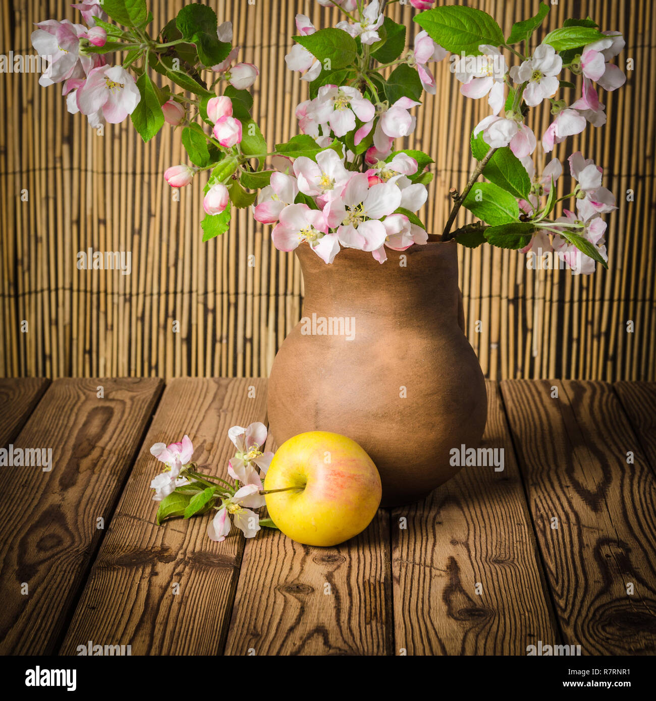 Ripe apple and blossoming branch of an apple-tree in a clay jar, close-up Stock Photo