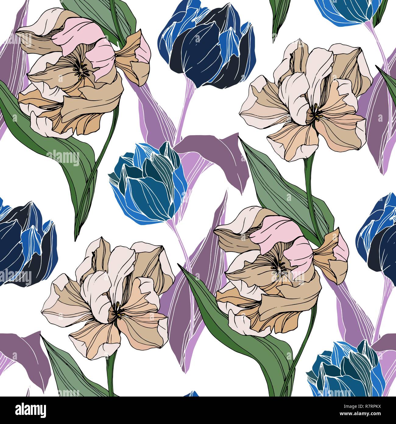 Vector Tulip engraved ink art. Floral botanical flower. Seamless