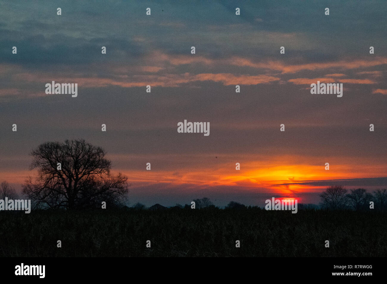House of the rising sun the animals hi-res stock photography and images ...