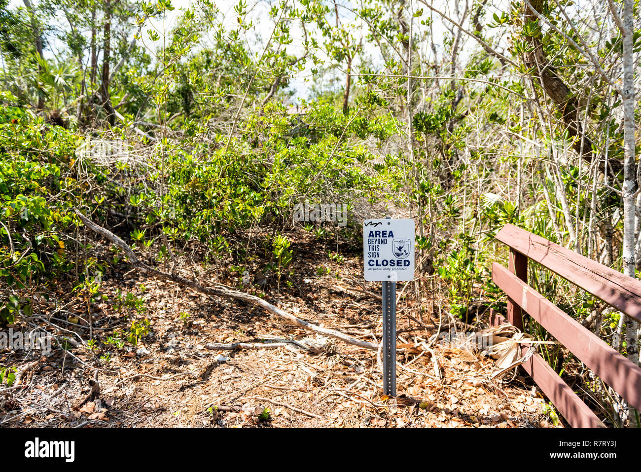 Big Pine Key, USA - May 1, 2018: Florida Keys, landscape closeup of blue lake pond trees damaged by wind, damage, destruction by hurricane Irma, sign  Stock Photo