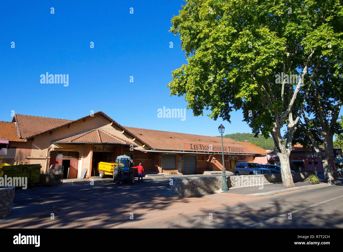 France, Var, Dracenie, Taradeau, winemaking cooperative winemaker Les Vignerons de Taradeau Stock Photo